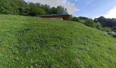 Frizerski studio Zik Zak, Damijana Šeligo s.p.