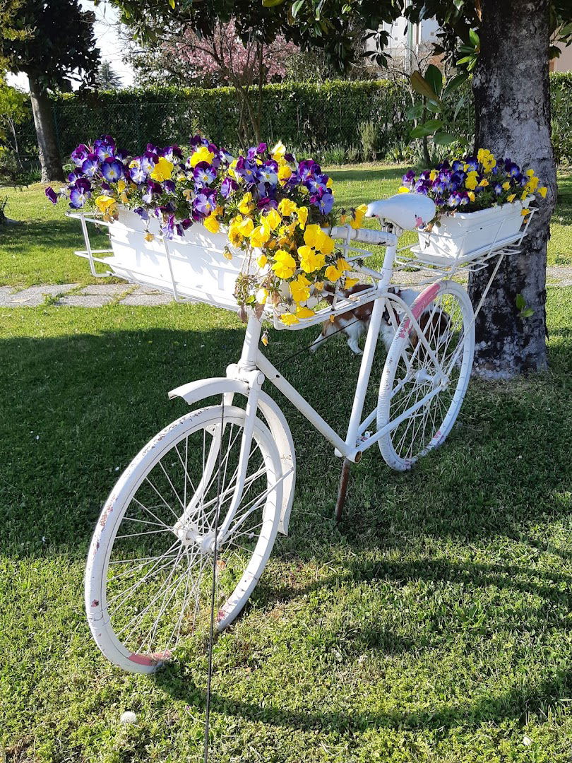 Azienda Agricola Bivi S.S. di Bivi Simone & Cinzia