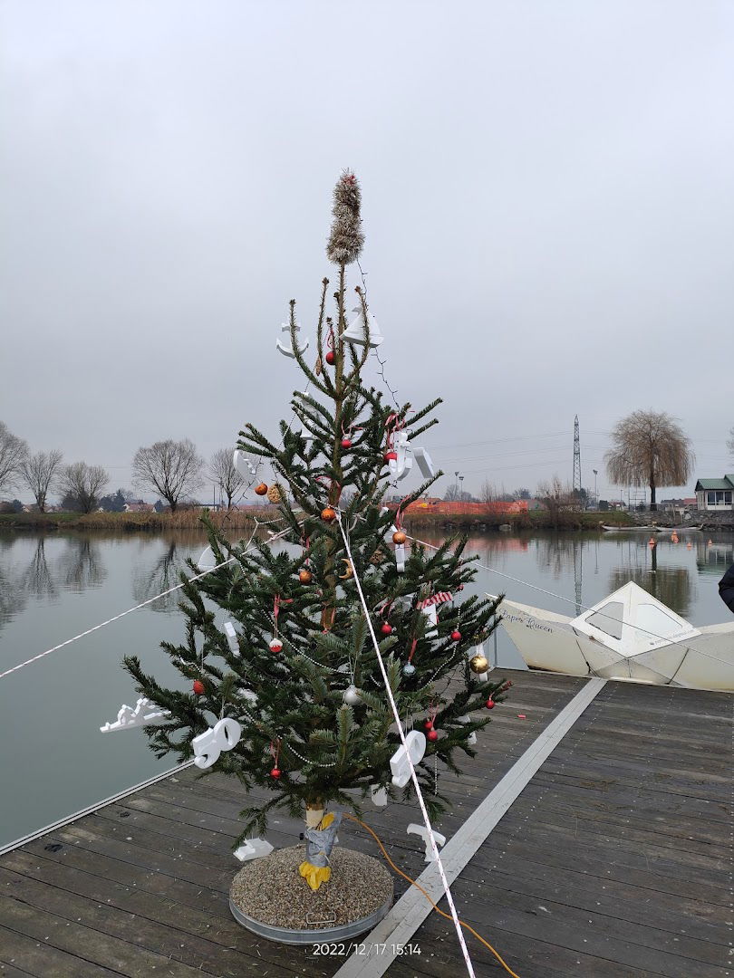 Brodarsko društvo Ranca Ptuj