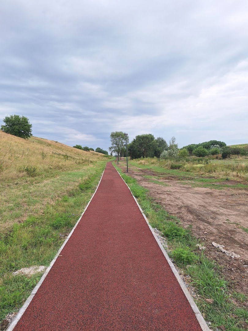 Трим стаза Леје