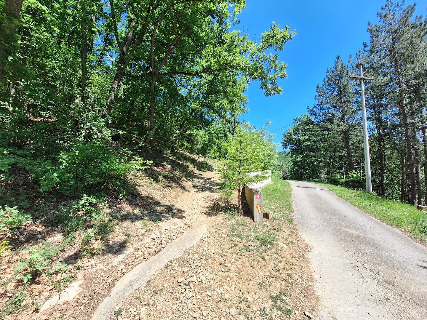 Staza (levo) kroz šumu od manastira Ćelije do vidikovca iznad manastira Ćelije