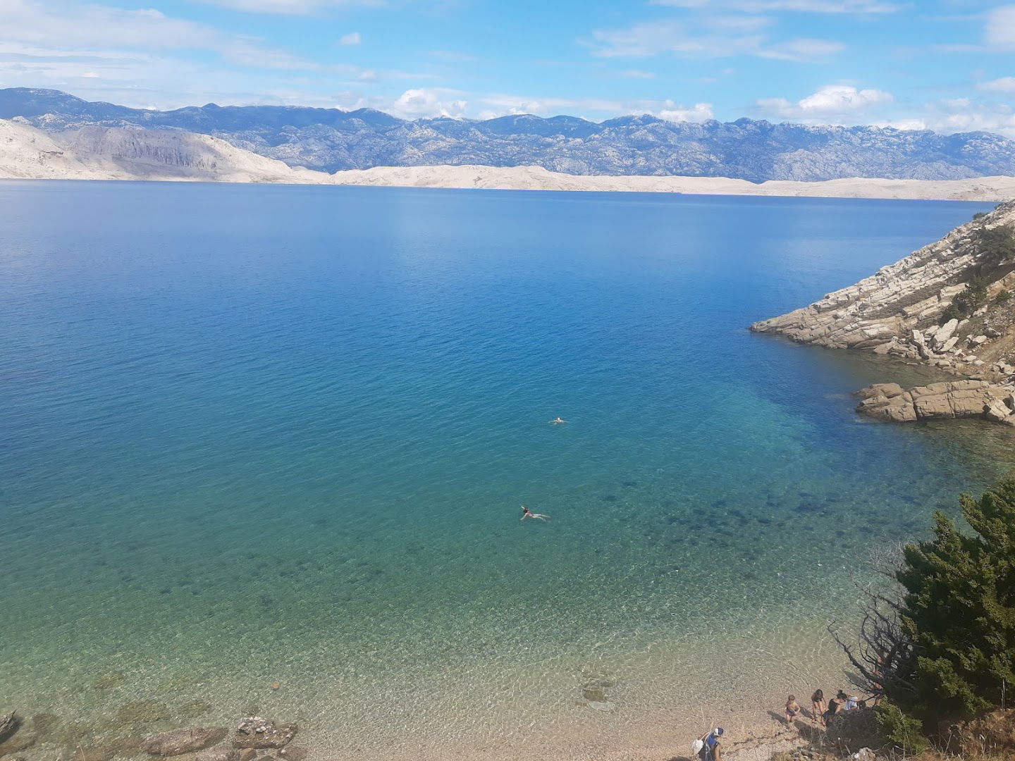 Apartments Petrović