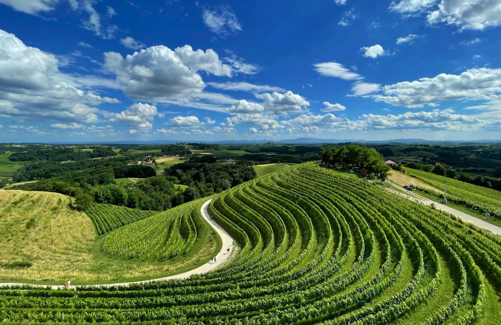 Lookout Tower Mađerka Hill