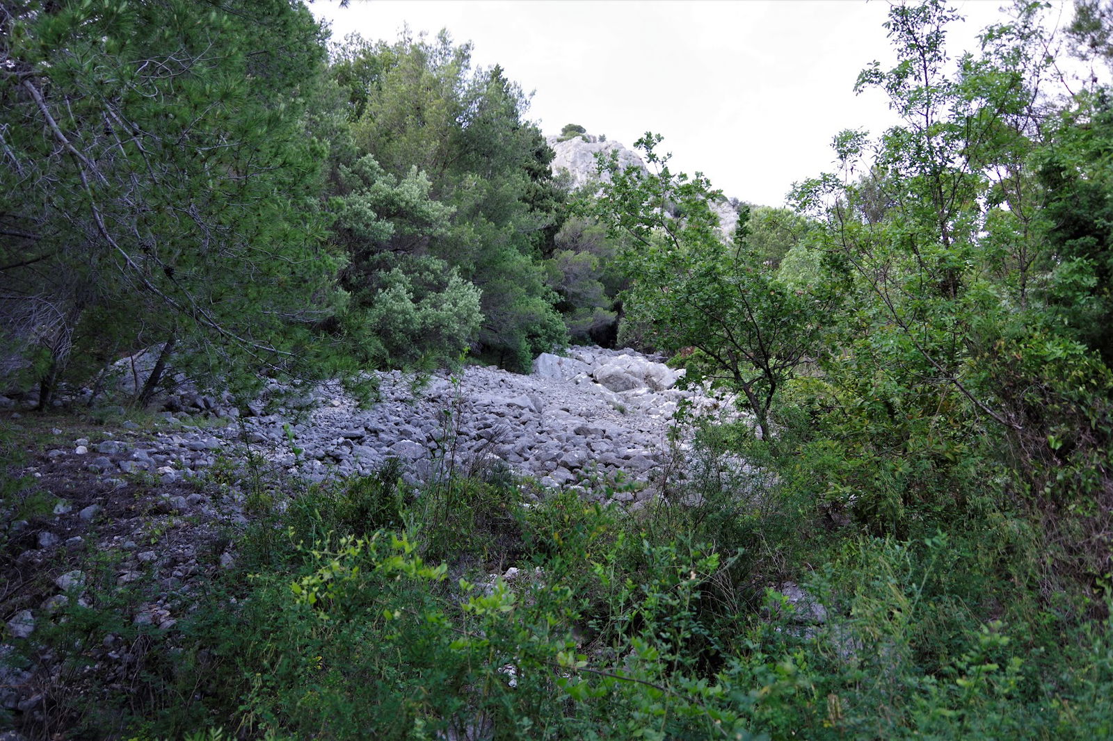 Mihalj - Šibenik - Duba