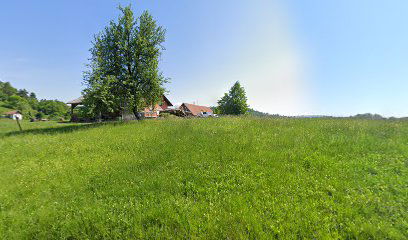 Prevozi in storitve Vojko Cafuta s.p.