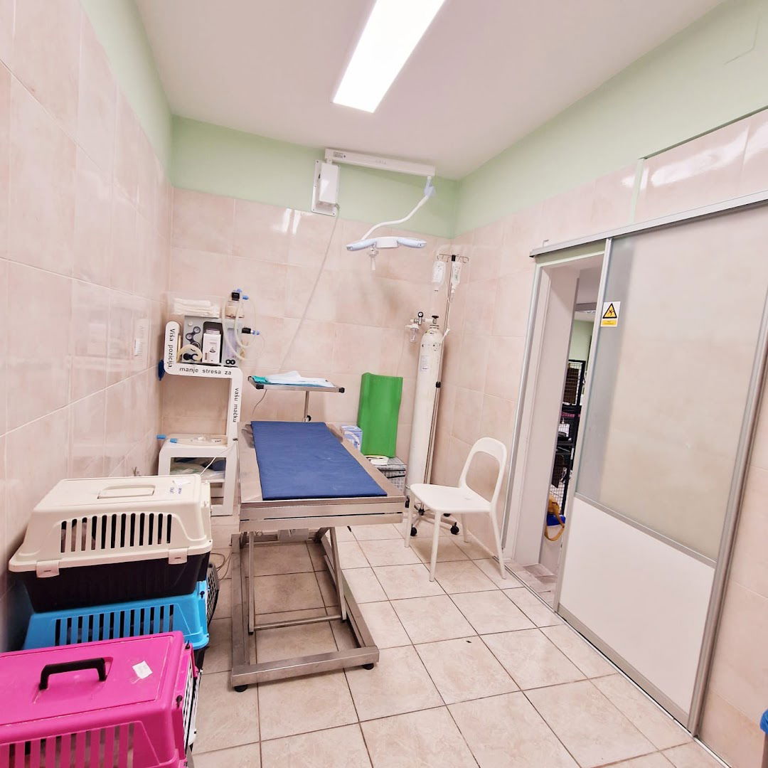 PILIĆ-specijalistička veterinarska praksa😺🐶🐱🐶🐰🐭🐇🐈🐩🐕🦮