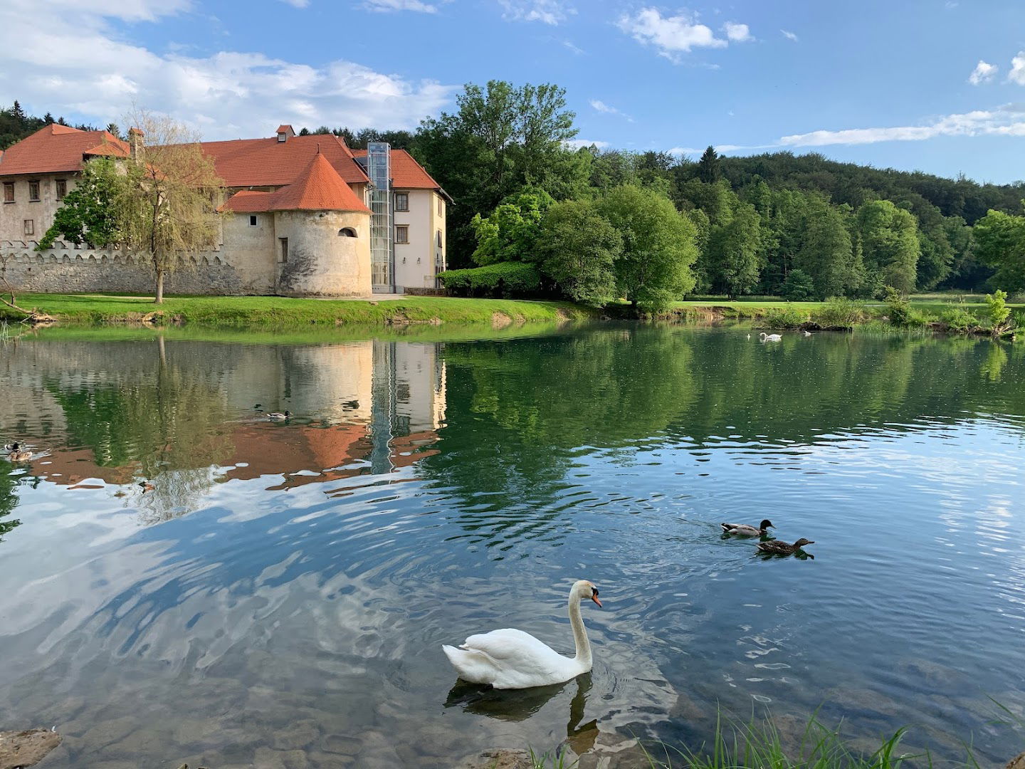 Sprehajalni park grad Otočec