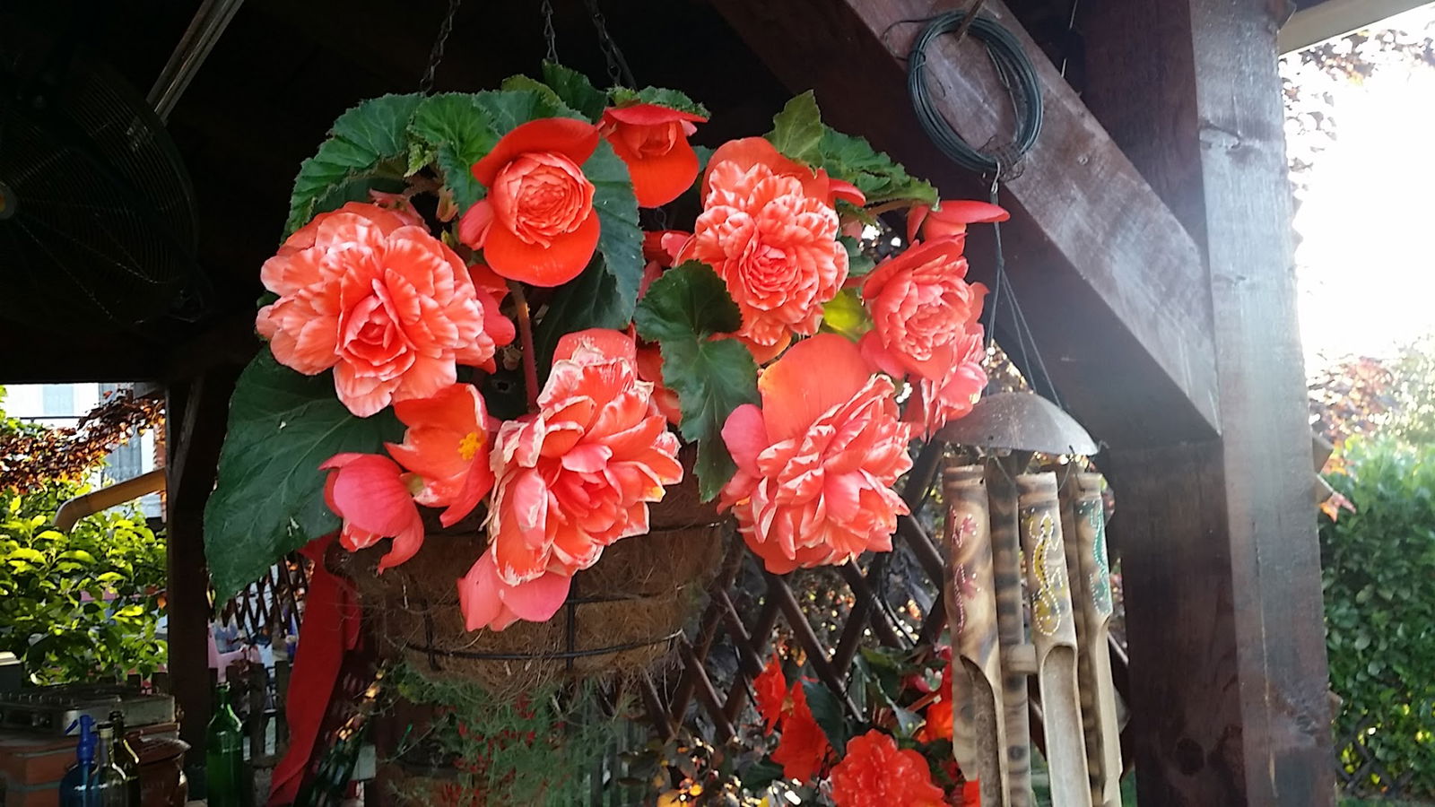 Advokat Jakova Galusa 34B