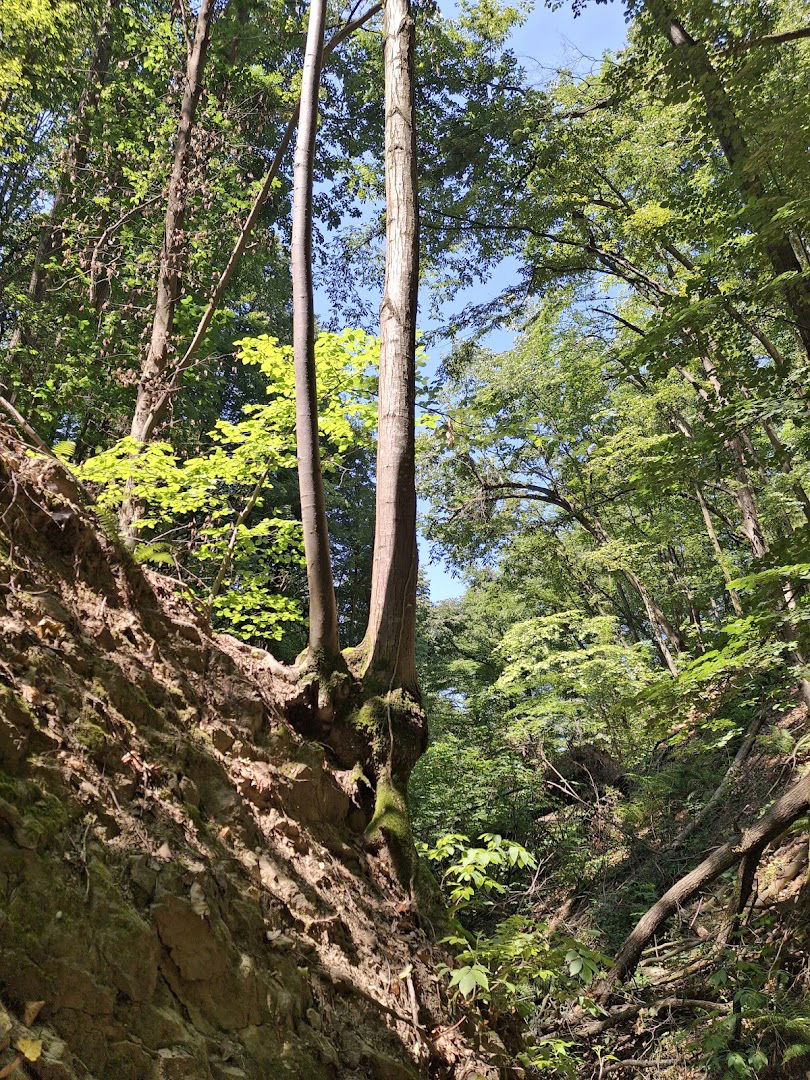 Dumbovački vodopad staza