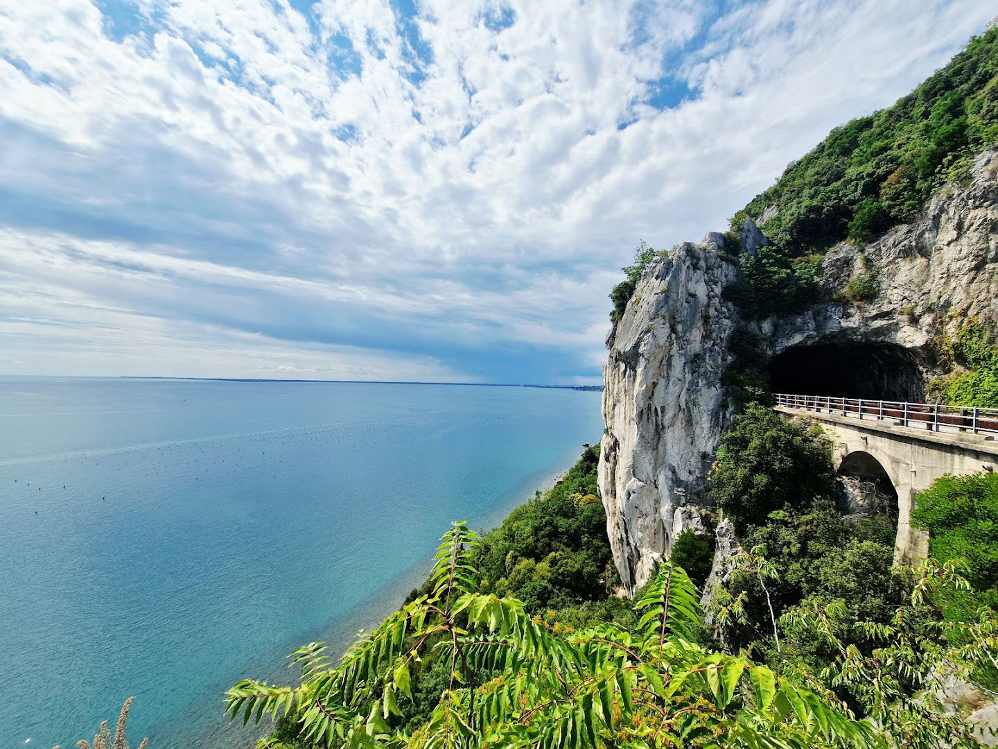 Naravna Galerija - Natural Gallery