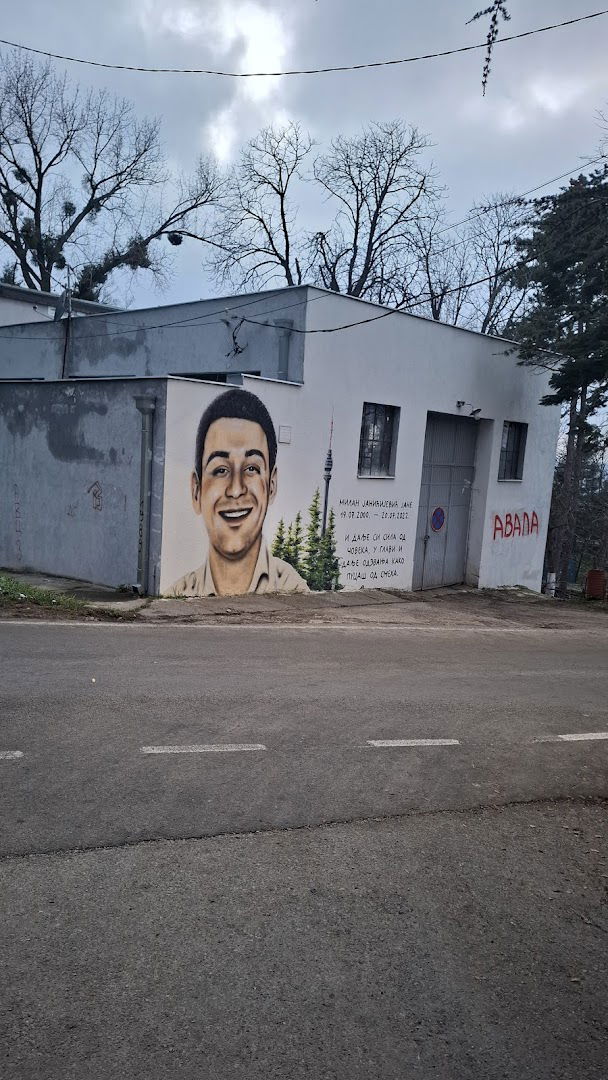 Mural Milan Janićijević - Jane