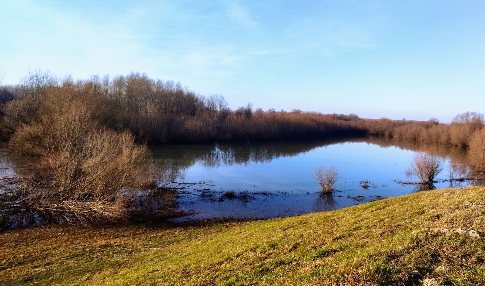 Мужљански ритови