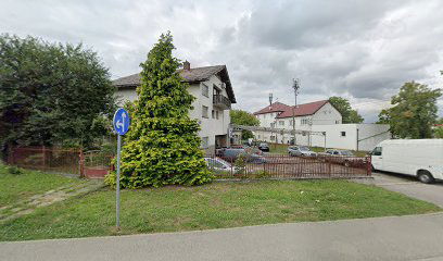 Auto Body Shop Parrot