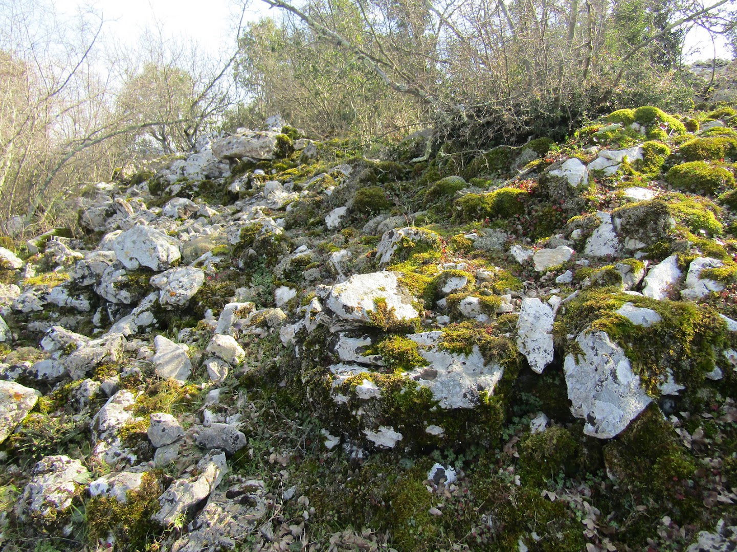 Secret prehistoric (Illyrian) megalithic site