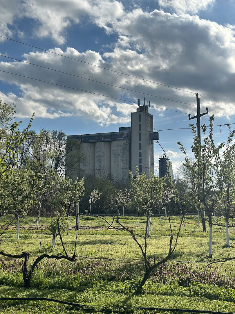 Mlin Napredak, Velika Greda