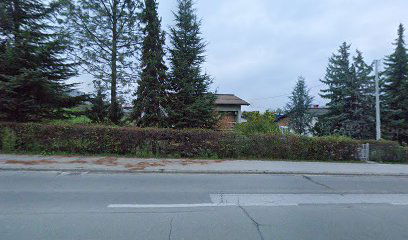 Hana Goršić - Radečić