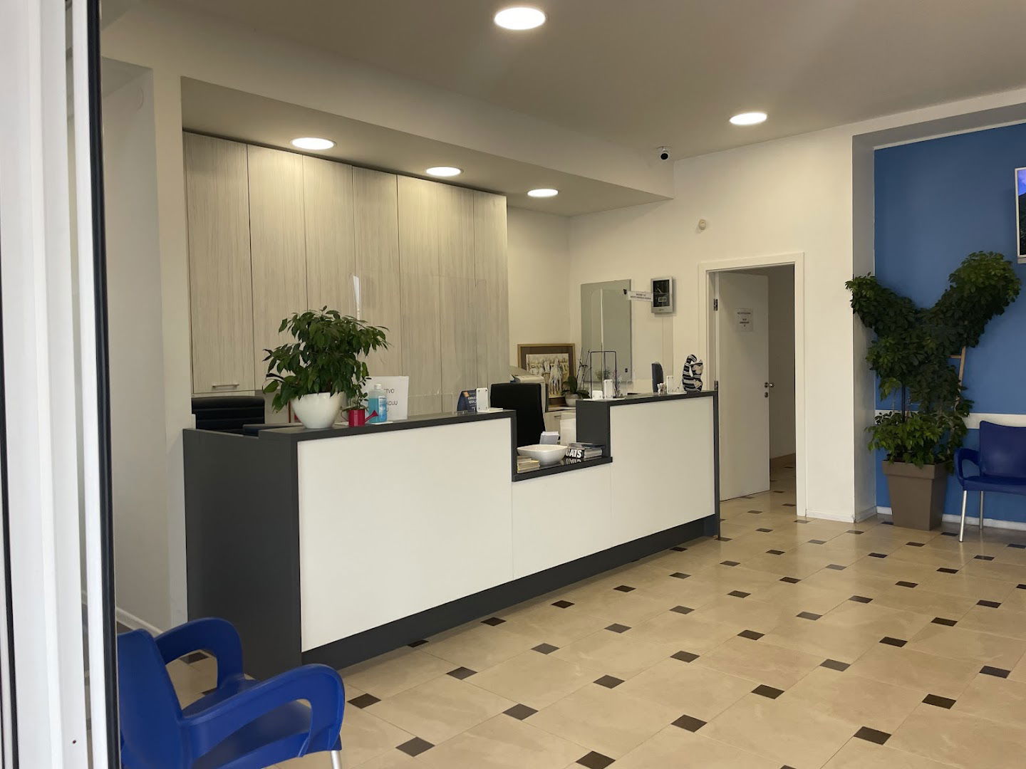 VETERINARY CLINIC MORE