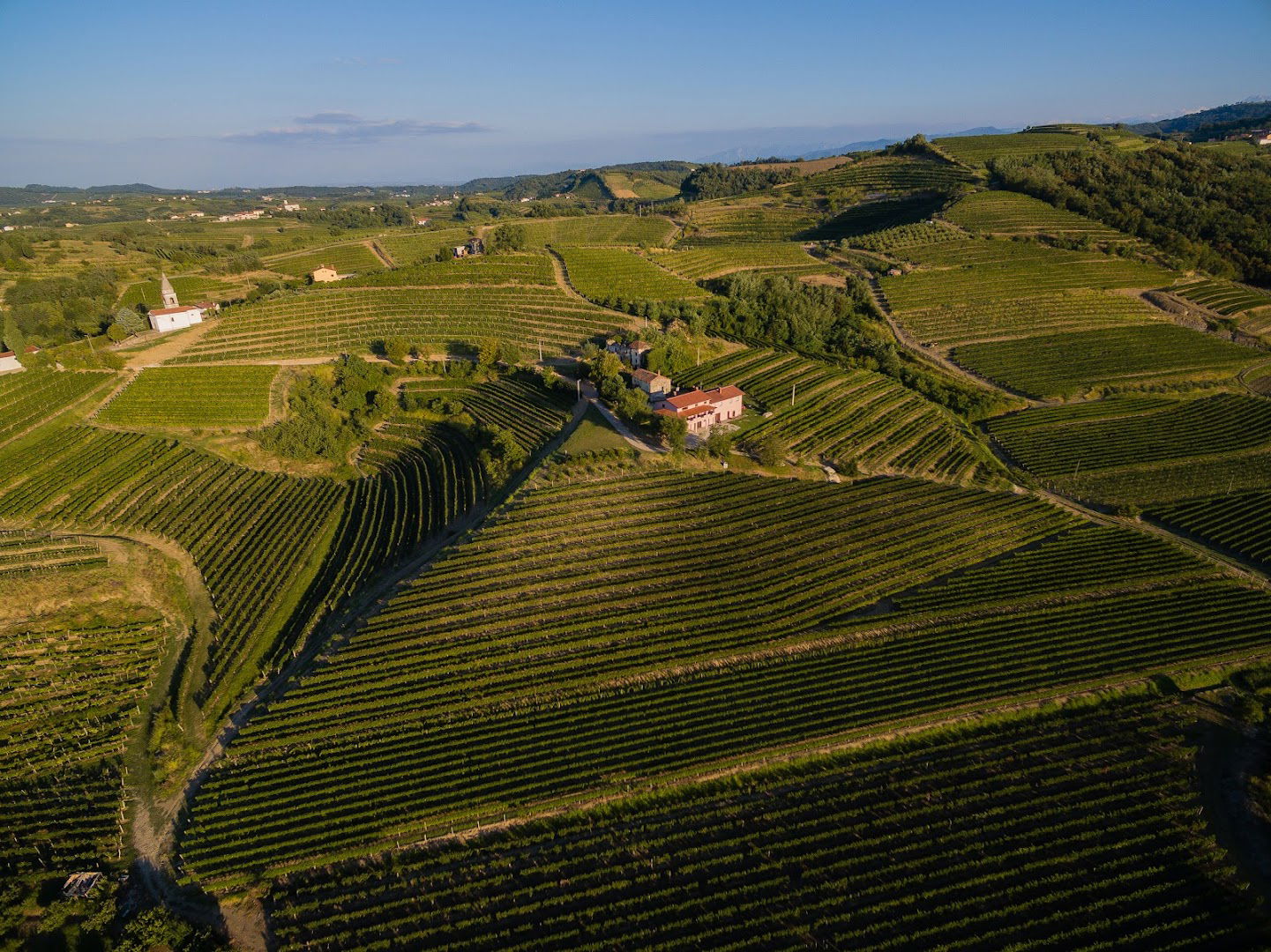 DOBUJE - Family Wine Estate