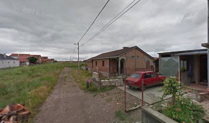 Citroen Delovi Altina