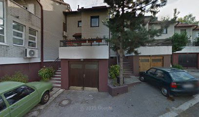 (k)onceptualni Umetnizam