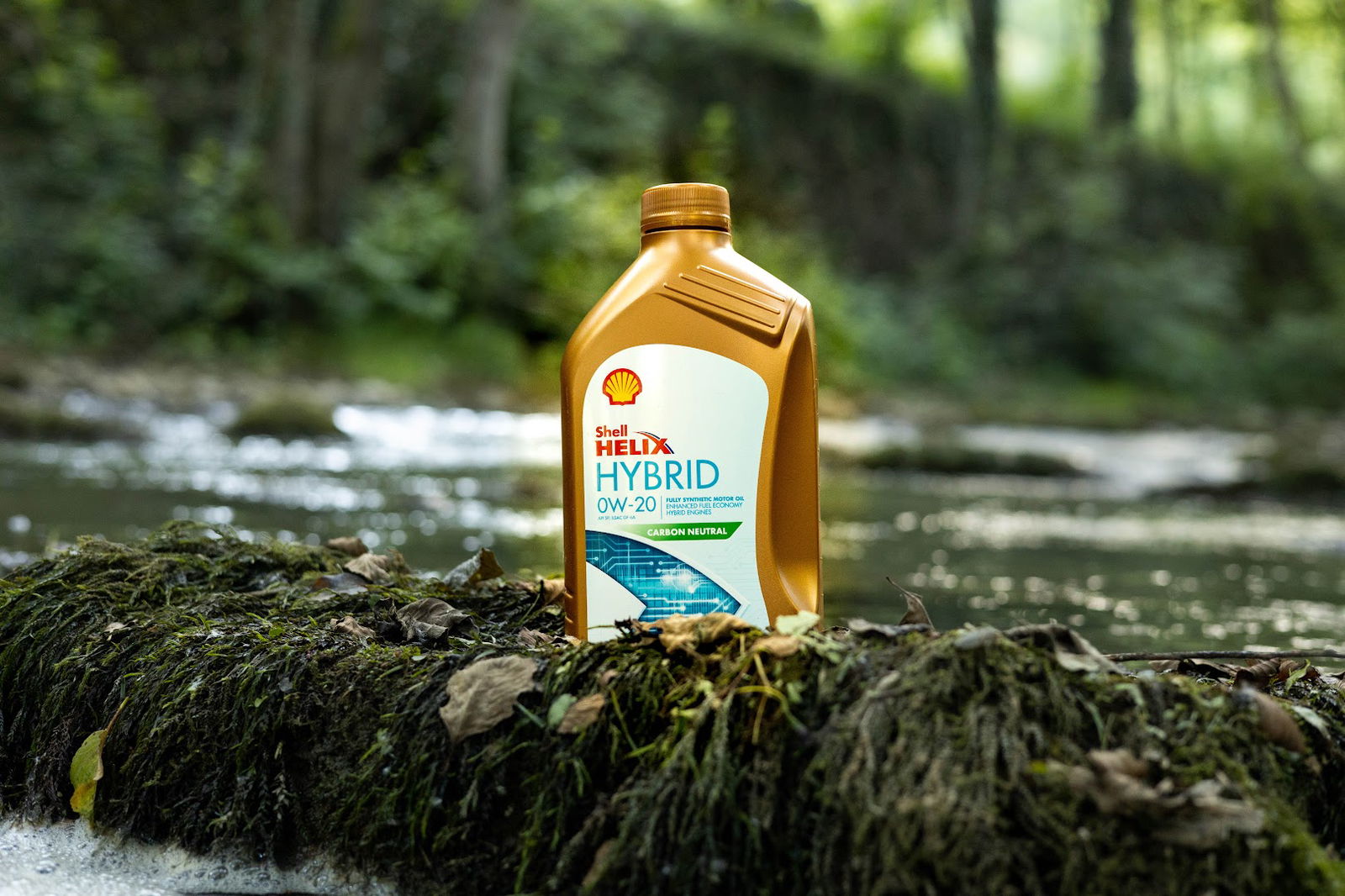 Babuskov Photography