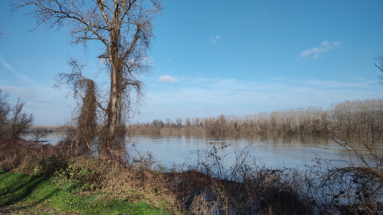 Ušće Drine u Savu Stara Rača