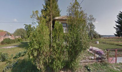 Dzppp Orla Društvo za pomoć i promatranje ptica