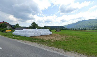 Gorenje polje