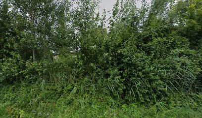 Školska knjiga d.d.