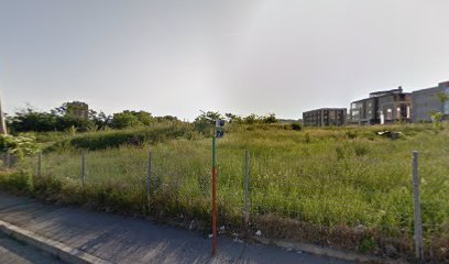 Bulevar Peka Dapčevića