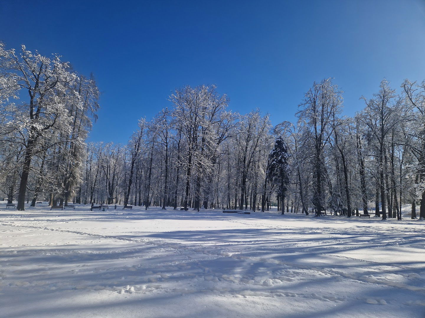 Bukvarna Ajta Ravne na Koroškem