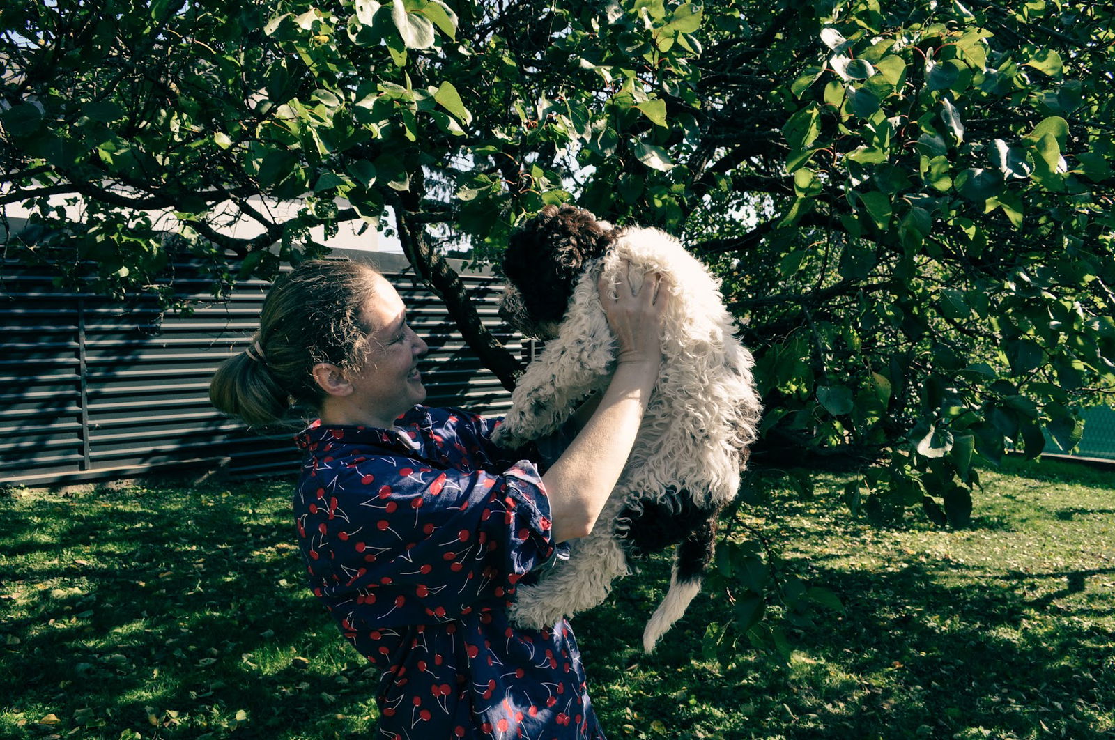 Crazy Curls-wow dog center