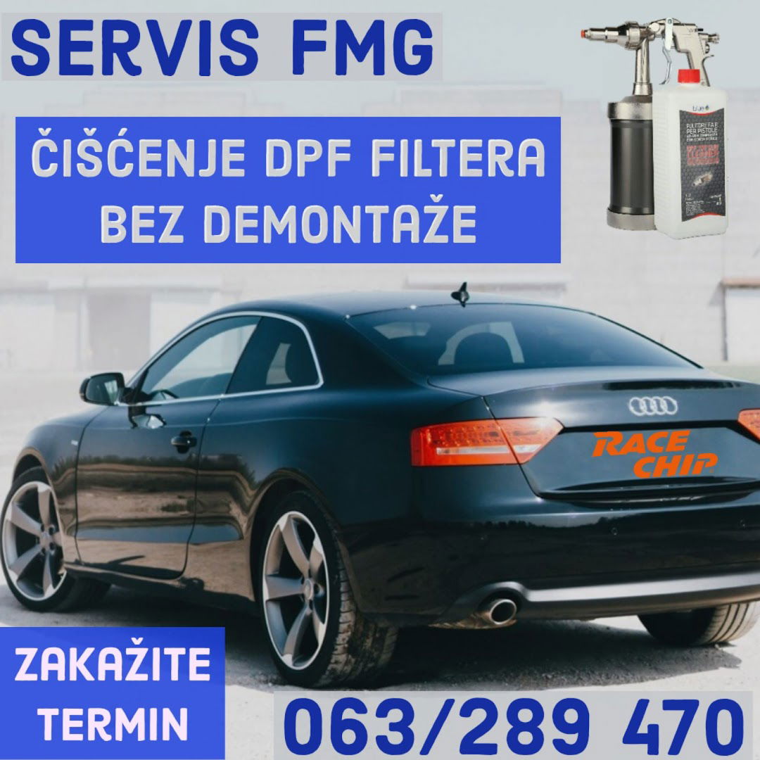 Servis FMG