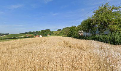 Transport Logistika Benjamin Kos s.p.