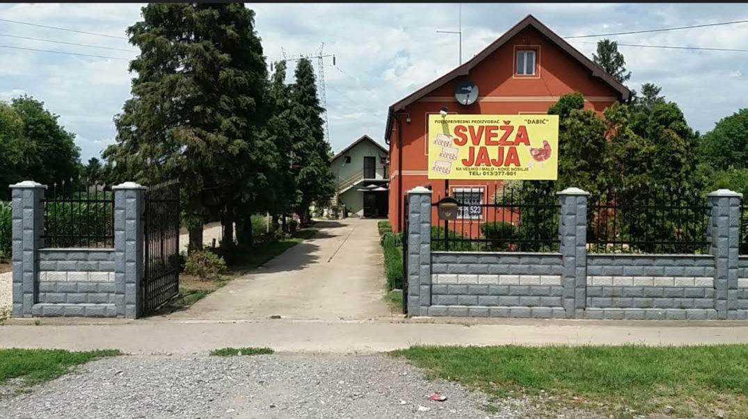 Egg Farm Dabić