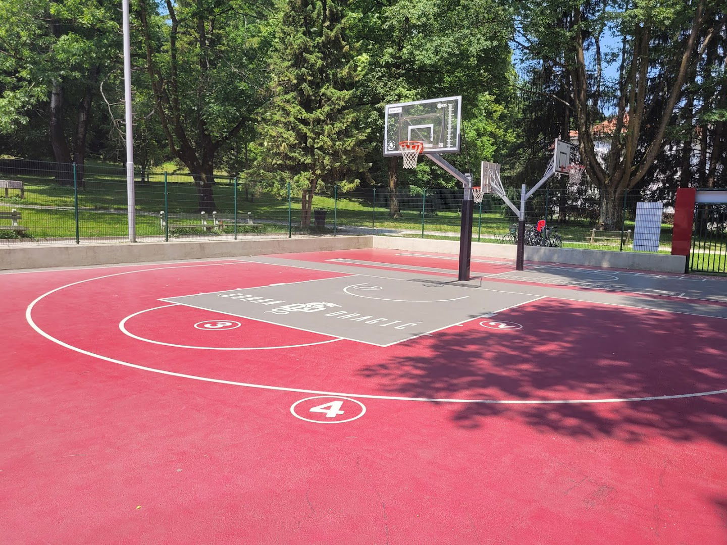 Goran Dragic basketball court