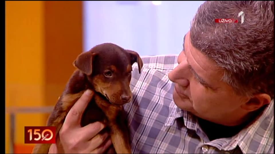 Veterinarska ordinacija Terzin