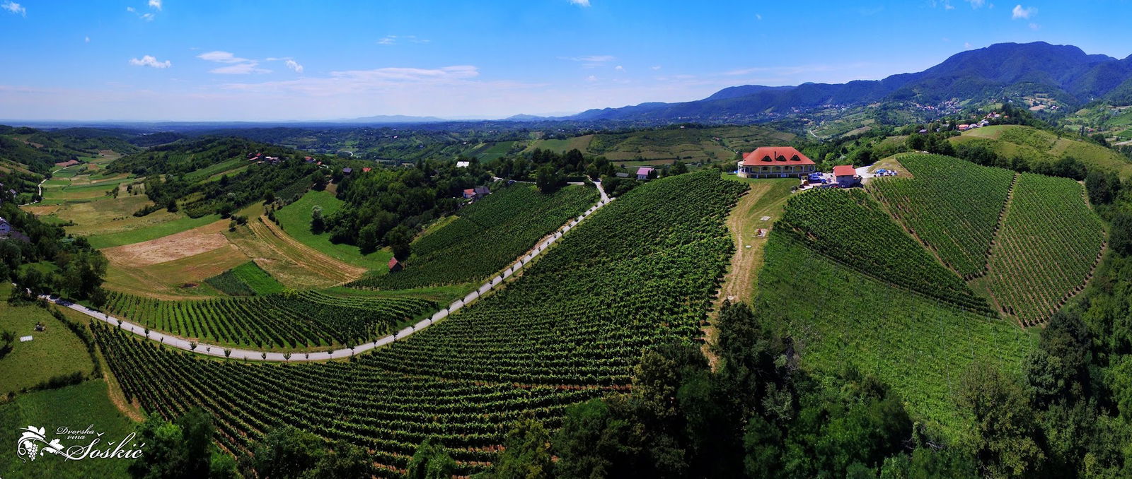 Vinarija & Destilerija Šoškić