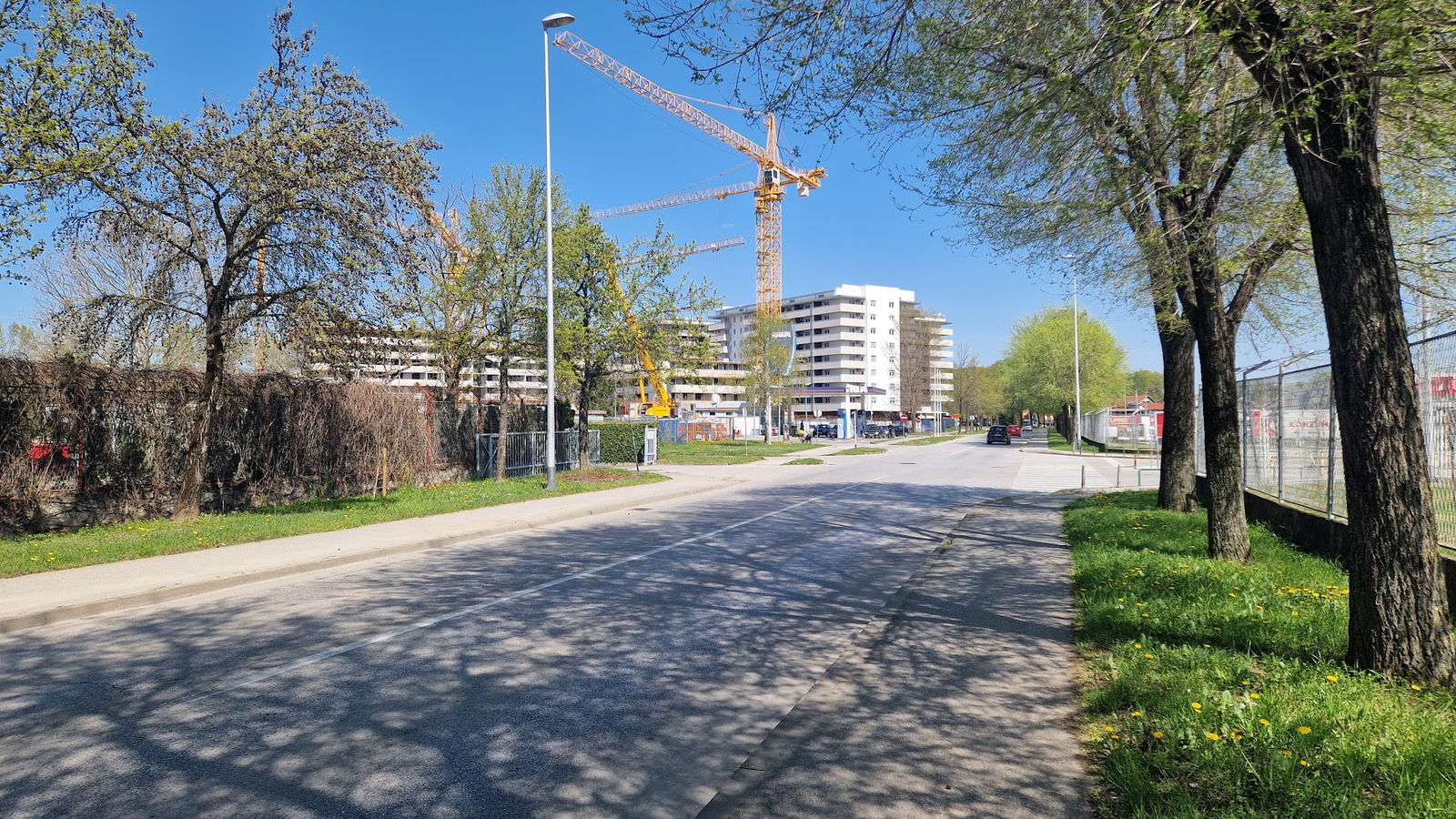 Pionir Novogradnja Borongajska Čavićeva