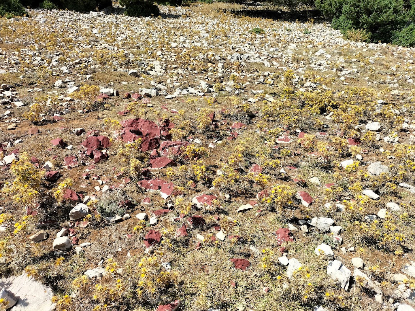 Fruga Art Trail "Red Rock(et)s" Kristina Pongrac