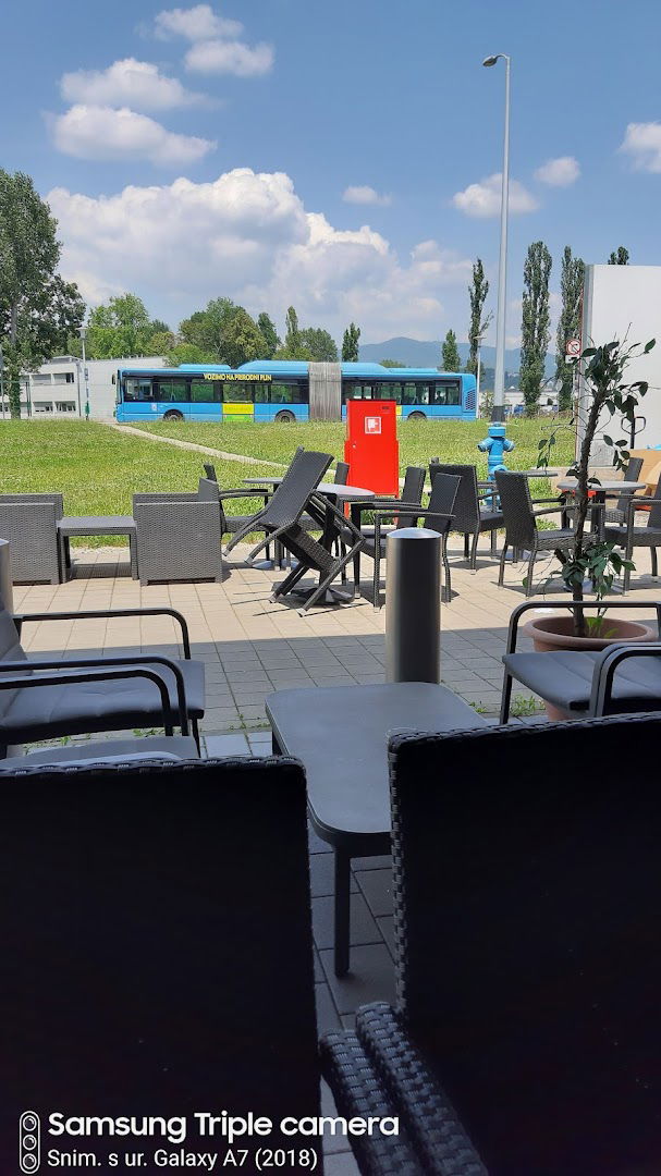 Coffee House "Bellus"