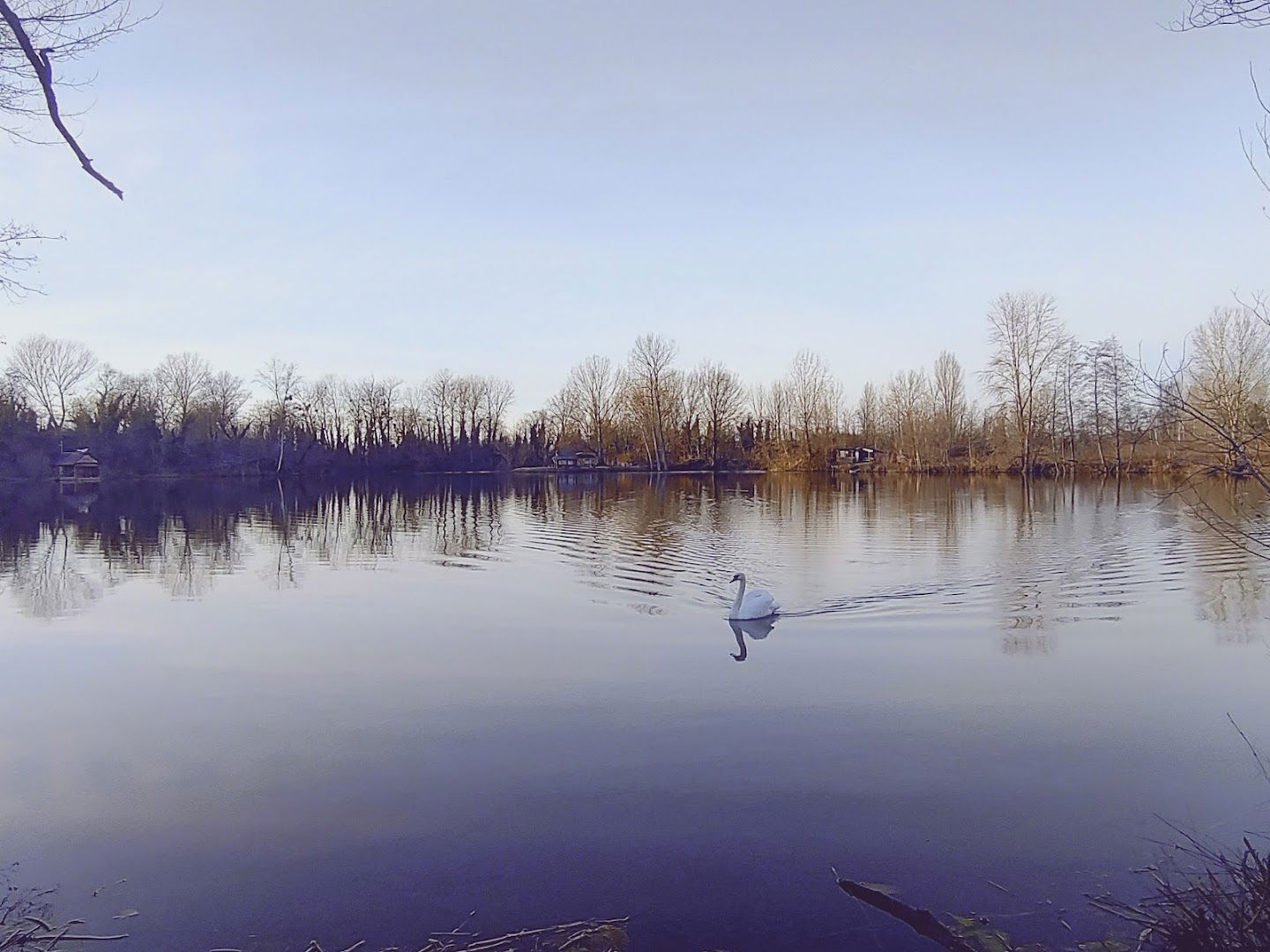 Bajta "Ljubić" mala graba
