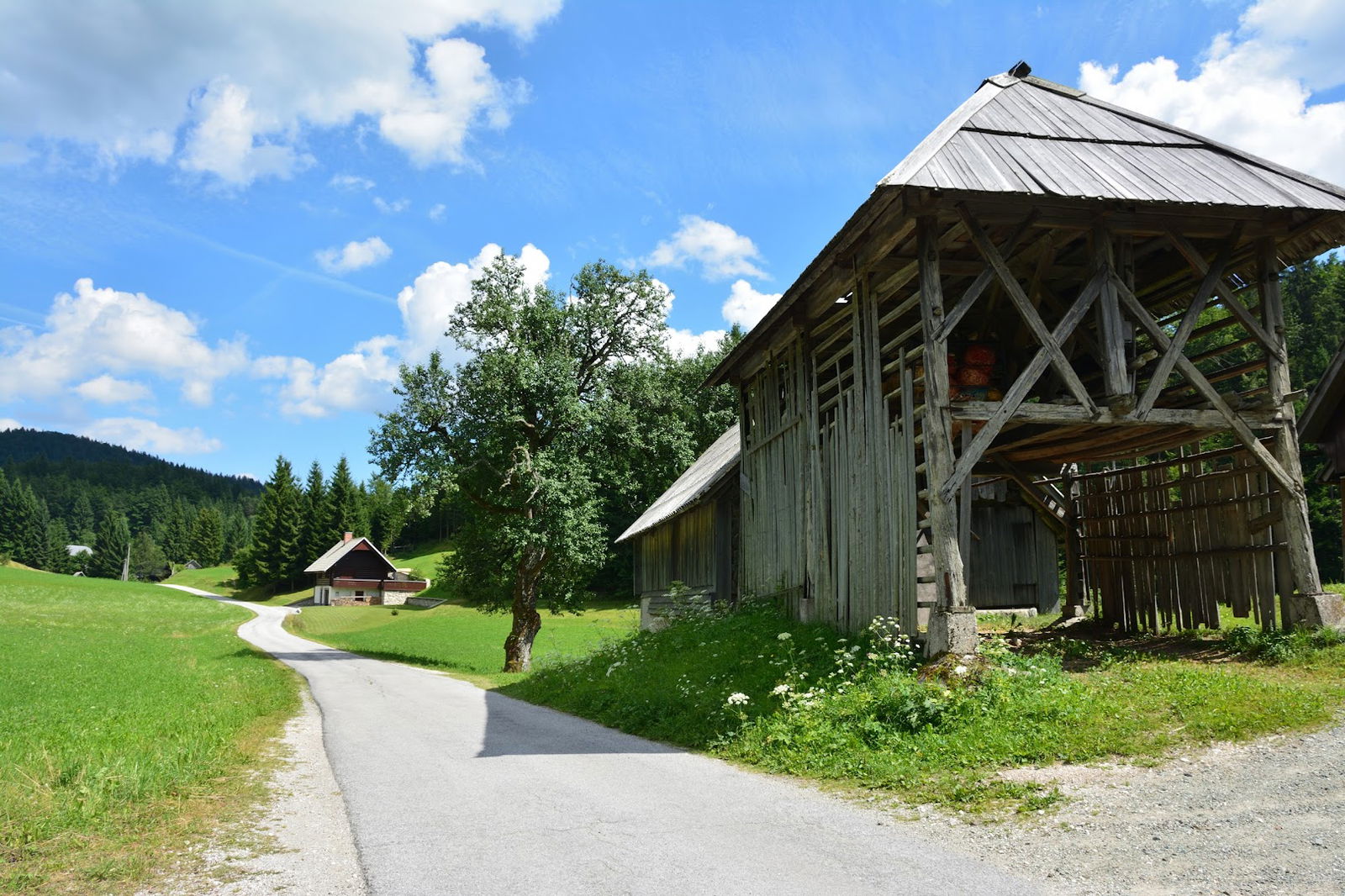 Koprivnik v Bohinju