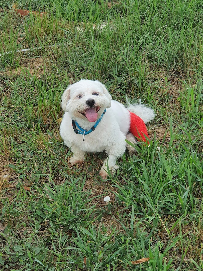 Veterinarska Ambulanta Fabela