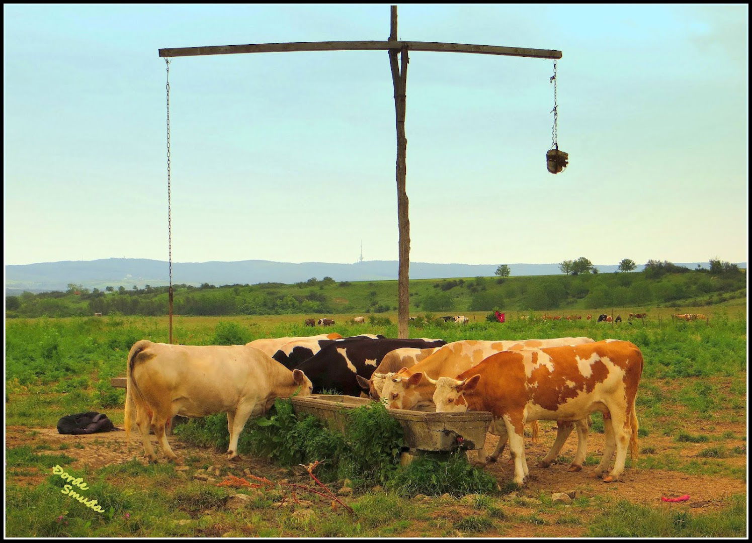 Đeram kod Pavlovaca