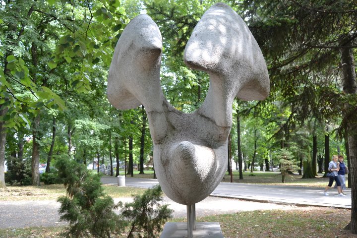 Steel and Stone Djukanovic