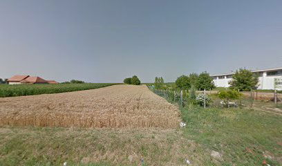 Mega Investments Servia