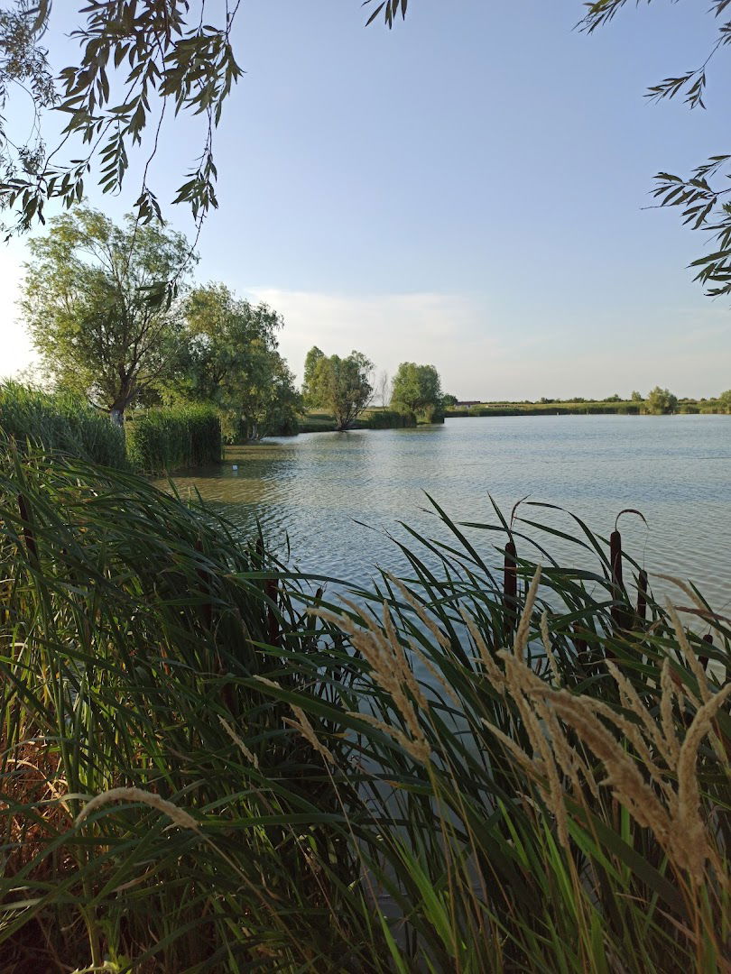 Ревир Басиана