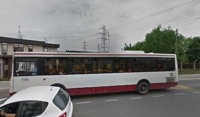 Nedeljka Gvozdenovića