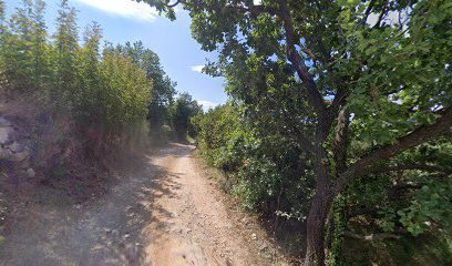 Parking Vardia vineyards